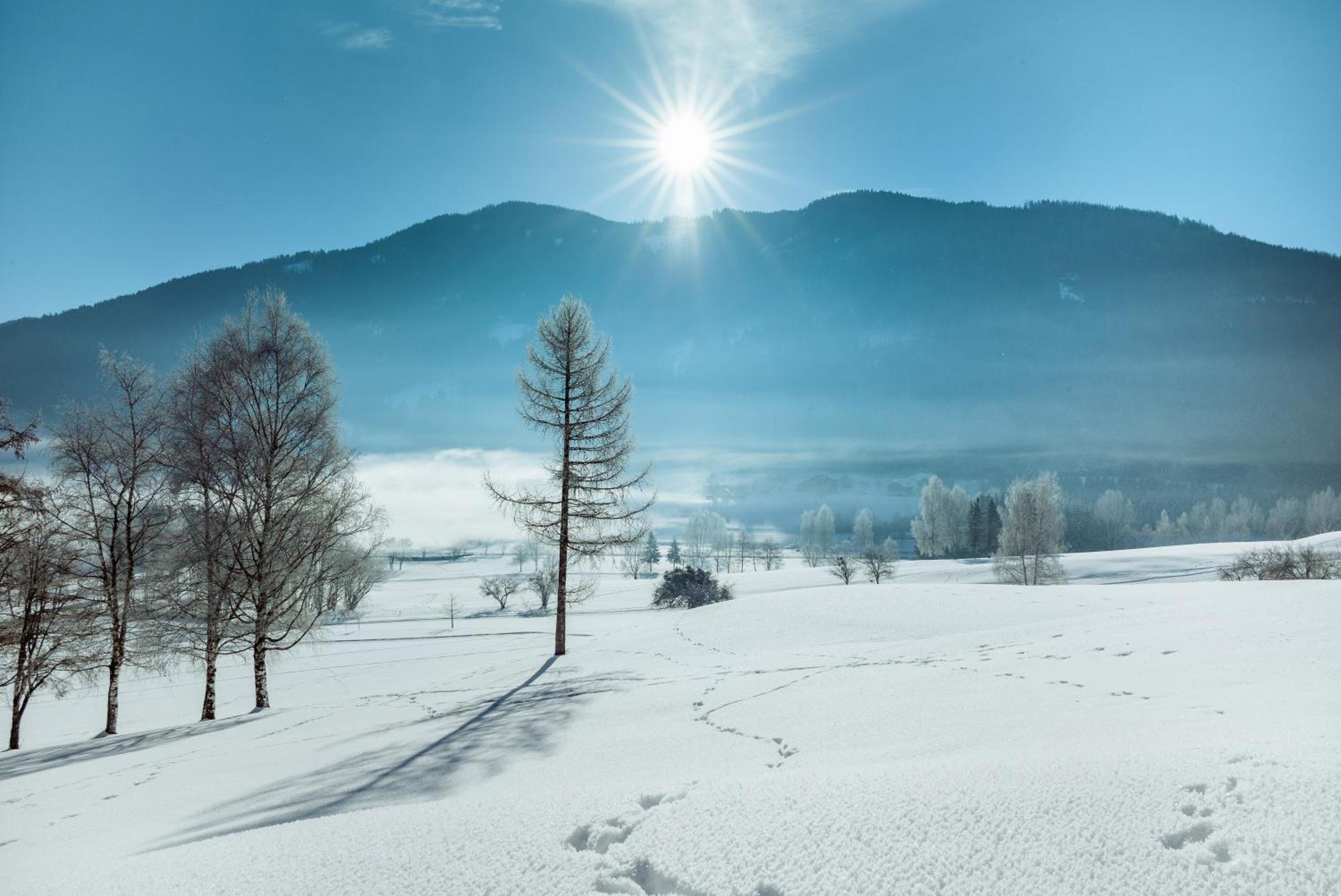 Imlauer Hotel Schloss Pichlarn 艾根恩斯道尔 外观 照片 Winter in Japan