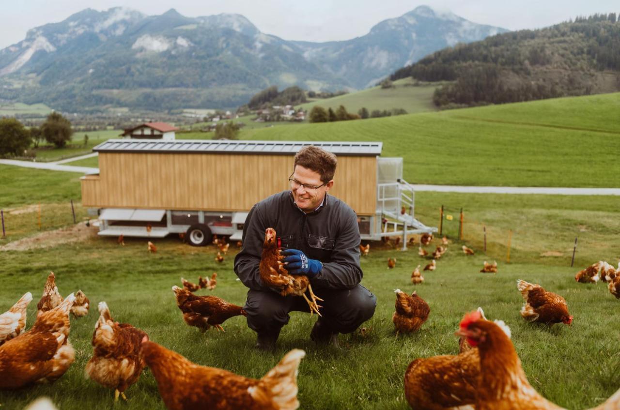Imlauer Hotel Schloss Pichlarn 艾根恩斯道尔 外观 照片 A farmer with his chickens