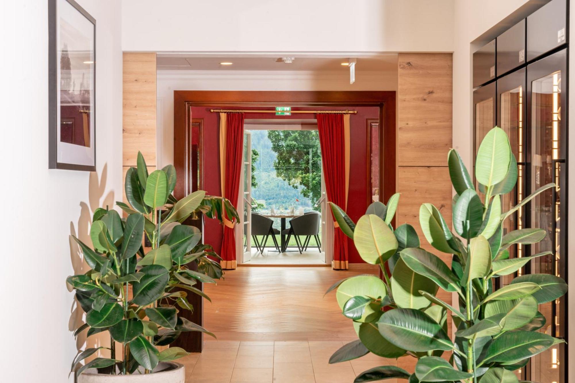 Imlauer Hotel Schloss Pichlarn 艾根恩斯道尔 外观 照片 Ficus elastica in a hotel