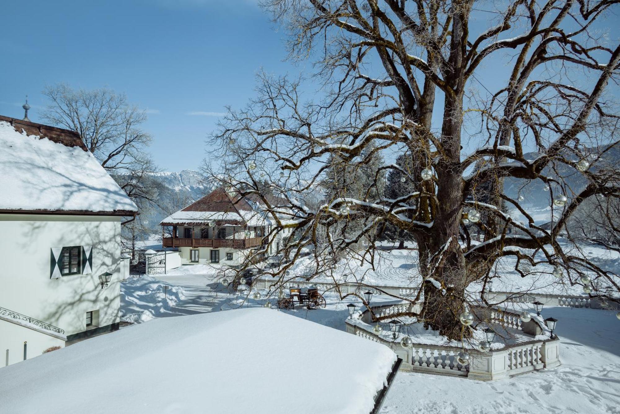 Imlauer Hotel Schloss Pichlarn 艾根恩斯道尔 客房 照片 The old oak tree in winter